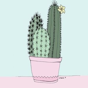 Meet your Posher, Addison